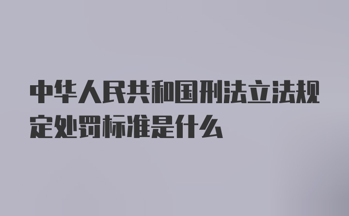 中华人民共和国刑法立法规定处罚标准是什么