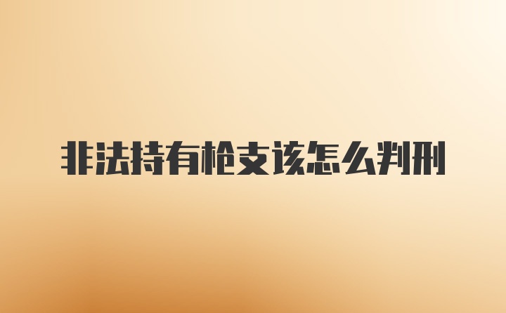 非法持有枪支该怎么判刑