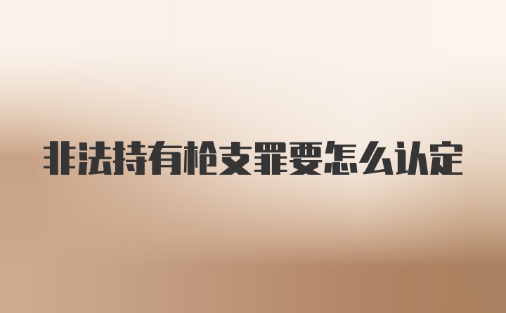 非法持有枪支罪要怎么认定