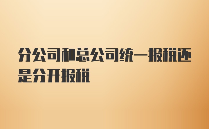 分公司和总公司统一报税还是分开报税