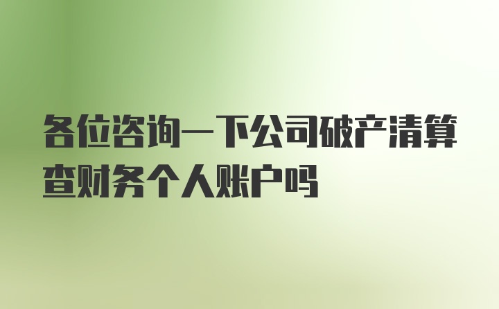 各位咨询一下公司破产清算查财务个人账户吗