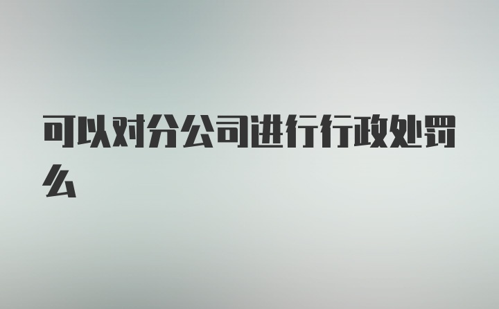 可以对分公司进行行政处罚么