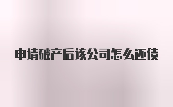 申请破产后该公司怎么还债