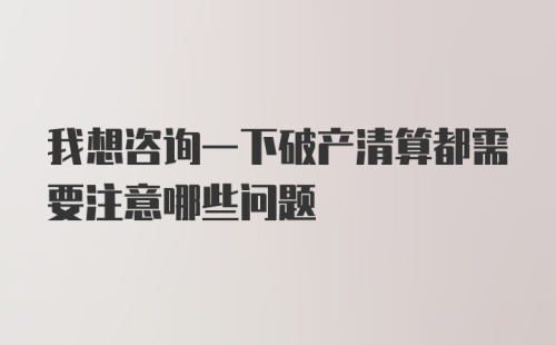 我想咨询一下破产清算都需要注意哪些问题