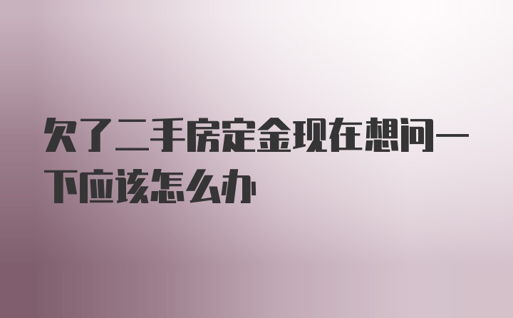 欠了二手房定金现在想问一下应该怎么办