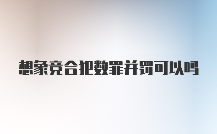 想象竞合犯数罪并罚可以吗