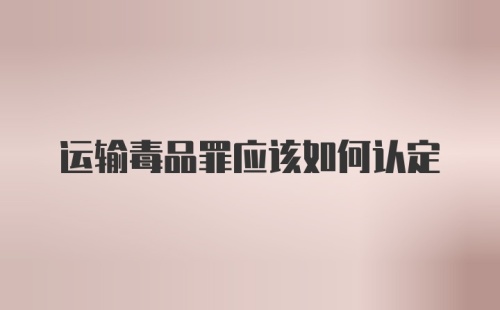 运输毒品罪应该如何认定