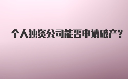 个人独资公司能否申请破产？