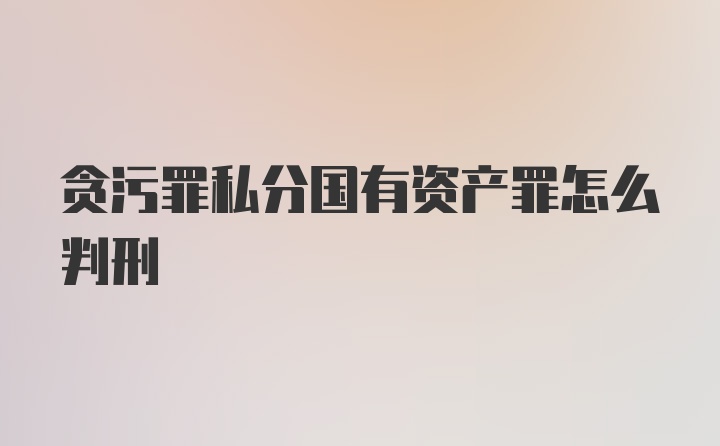 贪污罪私分国有资产罪怎么判刑