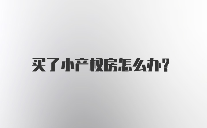 买了小产权房怎么办？