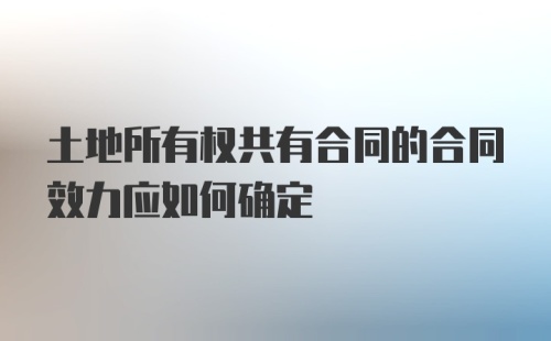 土地所有权共有合同的合同效力应如何确定