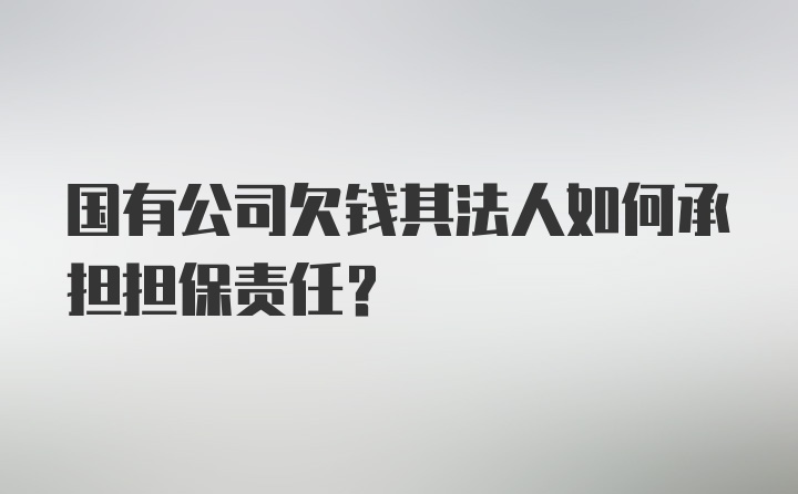 国有公司欠钱其法人如何承担担保责任？