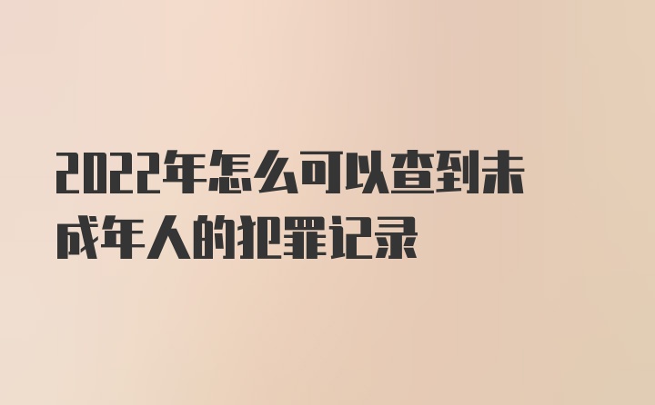 2022年怎么可以查到未成年人的犯罪记录