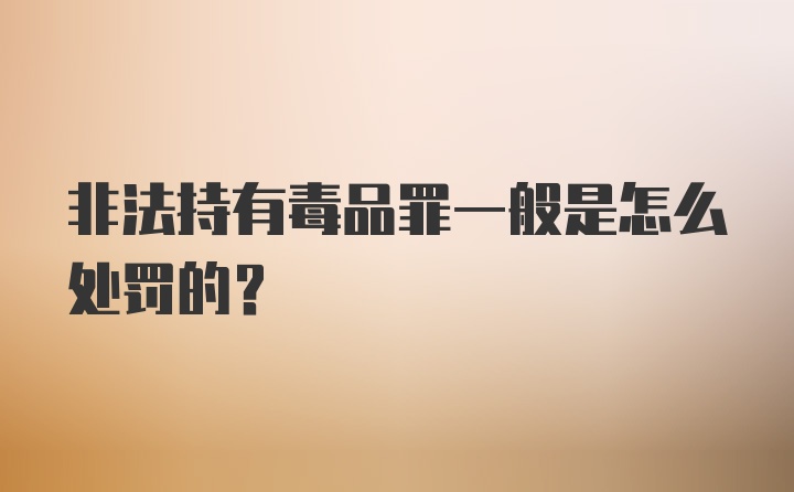 非法持有毒品罪一般是怎么处罚的?