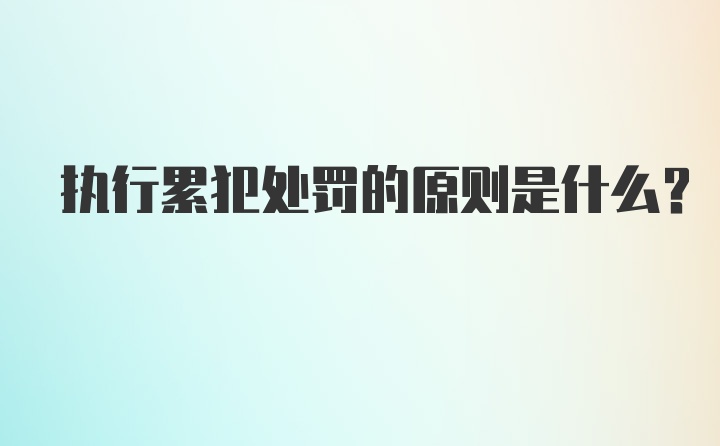 执行累犯处罚的原则是什么？