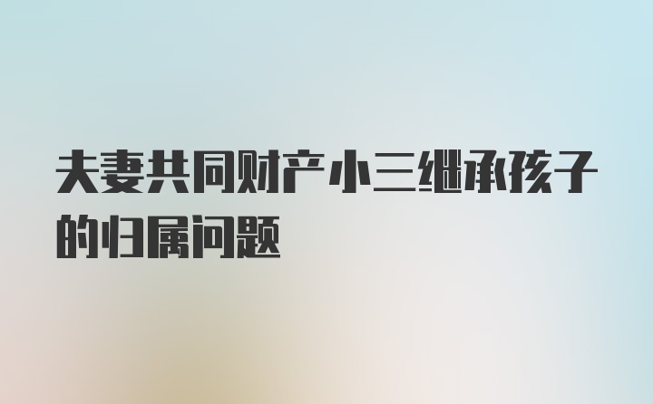 夫妻共同财产小三继承孩子的归属问题