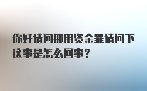 你好请问挪用资金罪请问下这事是怎么回事？