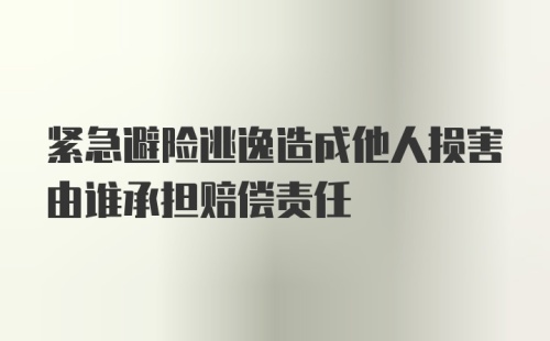 紧急避险逃逸造成他人损害由谁承担赔偿责任