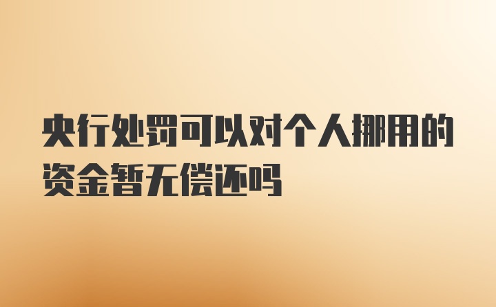 央行处罚可以对个人挪用的资金暂无偿还吗