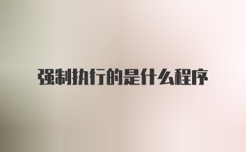 强制执行的是什么程序