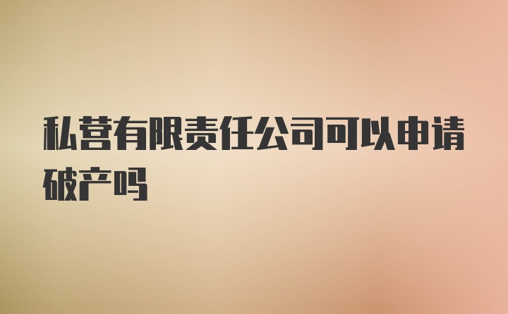 私营有限责任公司可以申请破产吗