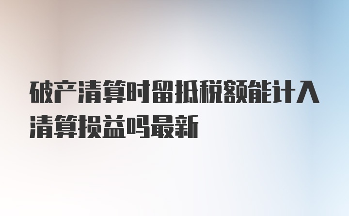 破产清算时留抵税额能计入清算损益吗最新