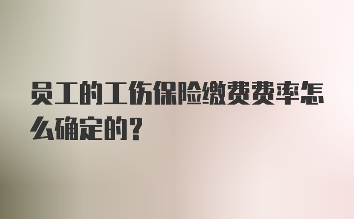 员工的工伤保险缴费费率怎么确定的？