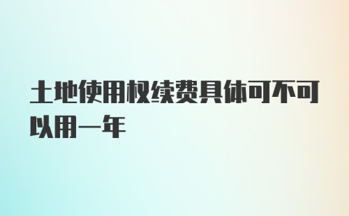 土地使用权续费具体可不可以用一年