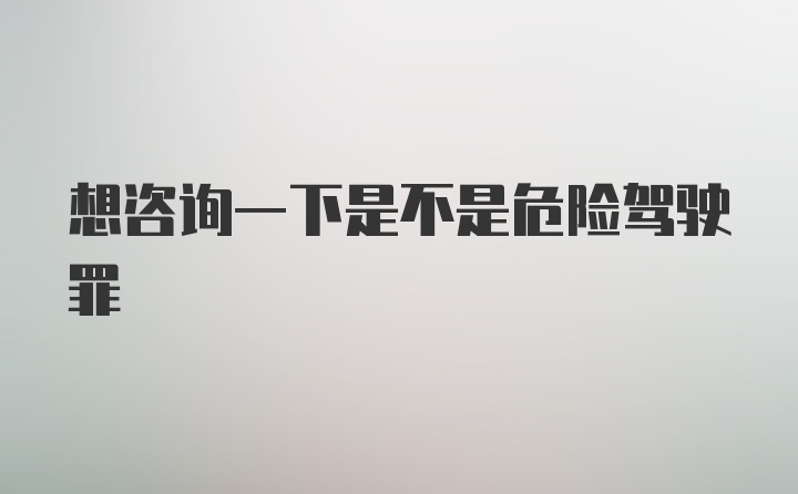 想咨询一下是不是危险驾驶罪