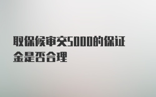 取保候审交5000的保证金是否合理