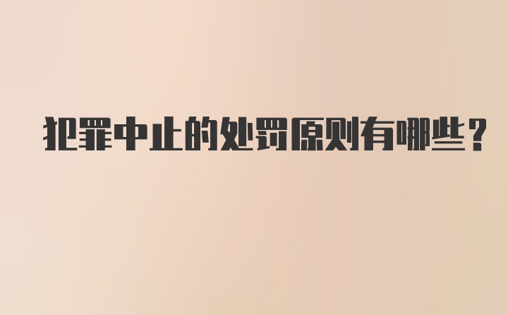 犯罪中止的处罚原则有哪些？