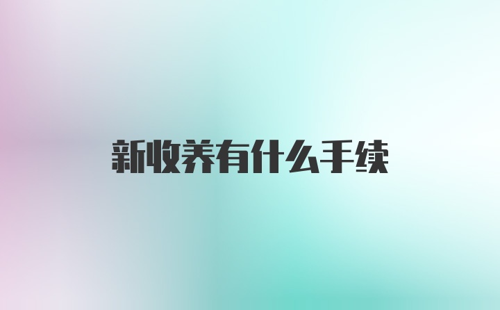 新收养有什么手续