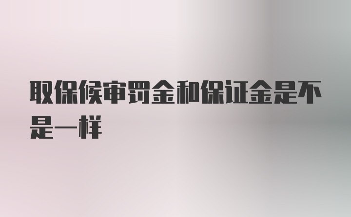 取保候审罚金和保证金是不是一样