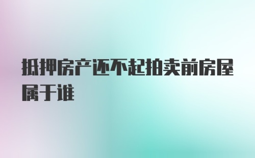 抵押房产还不起拍卖前房屋属于谁