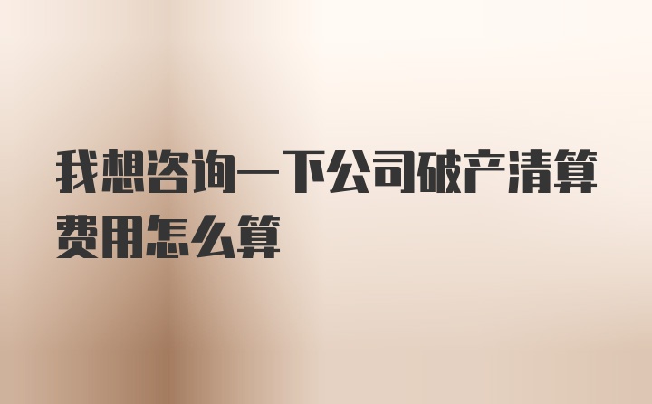 我想咨询一下公司破产清算费用怎么算