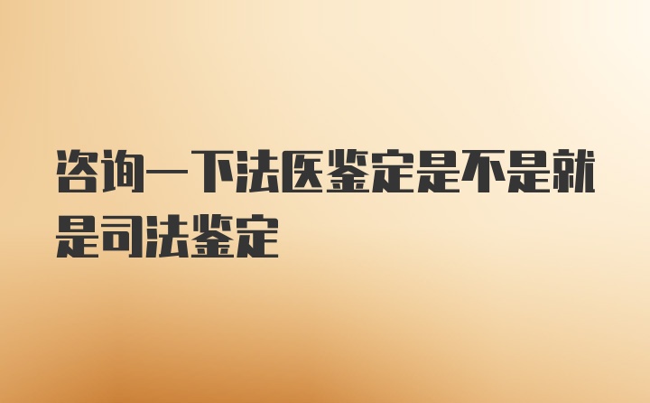 咨询一下法医鉴定是不是就是司法鉴定