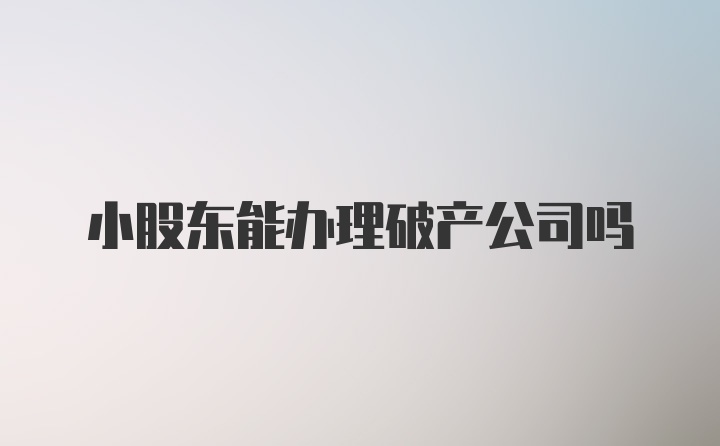 小股东能办理破产公司吗