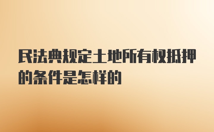 民法典规定土地所有权抵押的条件是怎样的