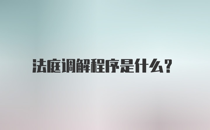 法庭调解程序是什么？