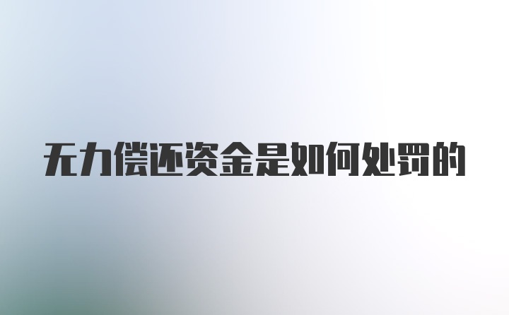 无力偿还资金是如何处罚的