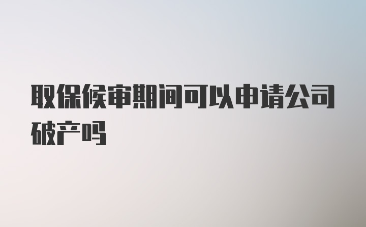 取保候审期间可以申请公司破产吗