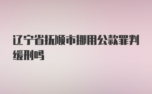 辽宁省抚顺市挪用公款罪判缓刑吗