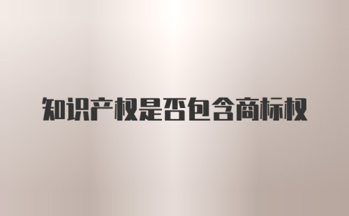 知识产权是否包含商标权