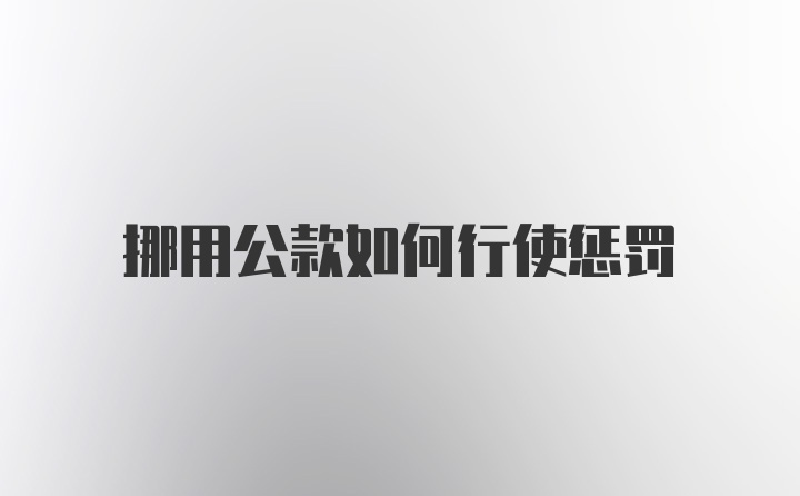 挪用公款如何行使惩罚