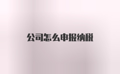 公司怎么申报纳税