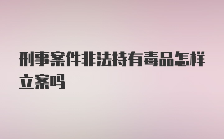 刑事案件非法持有毒品怎样立案吗