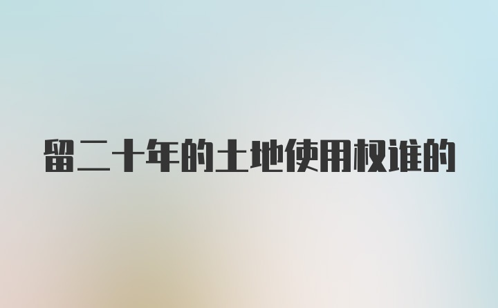 留二十年的土地使用权谁的