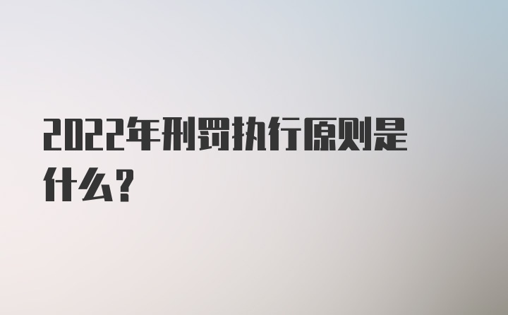 2022年刑罚执行原则是什么？