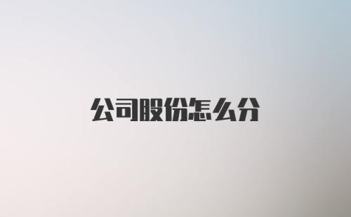 公司股份怎么分