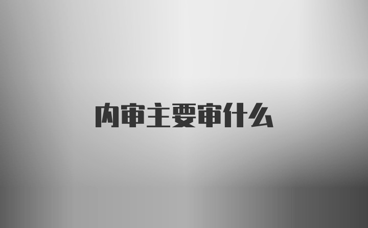 内审主要审什么